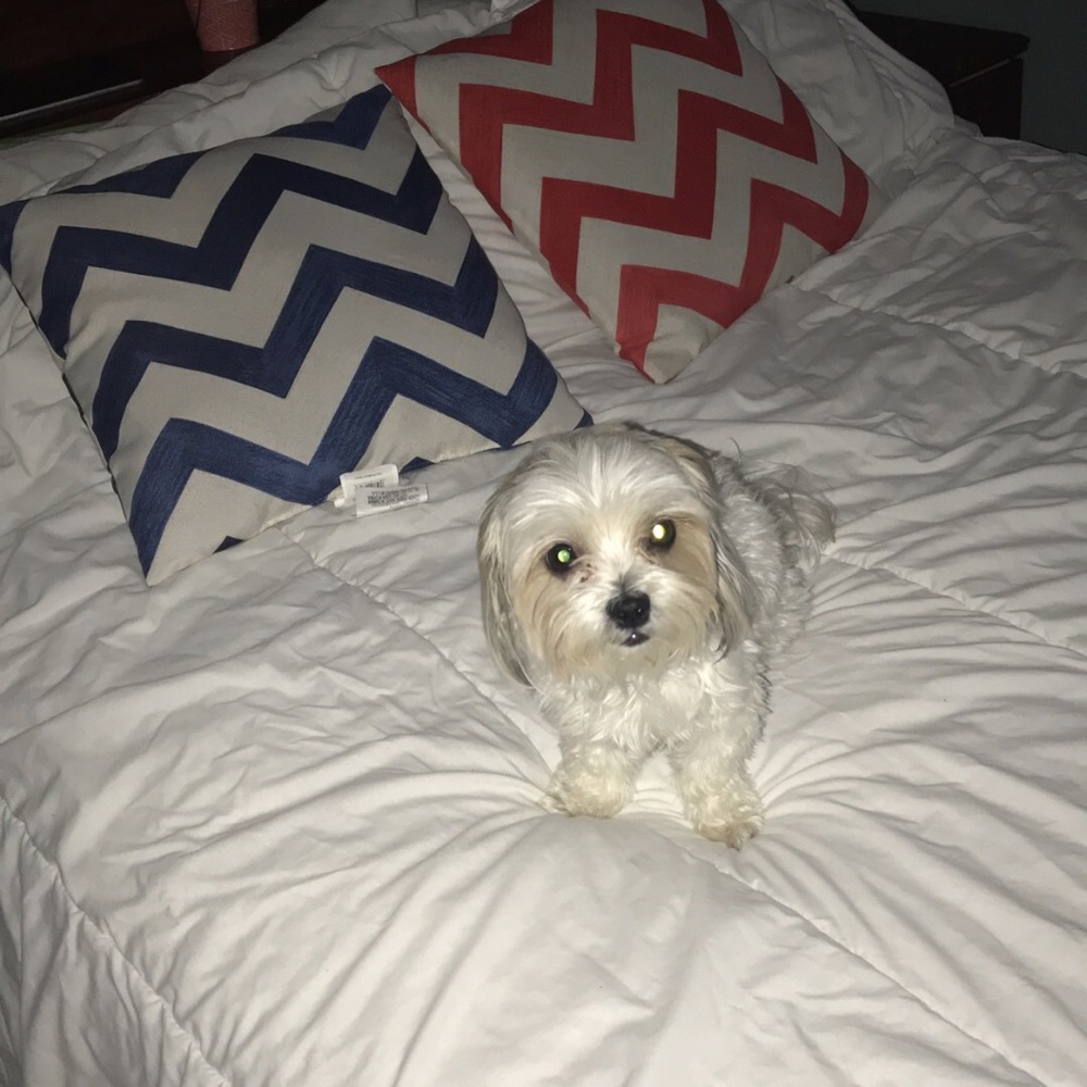 Meet your Posher, Leylee